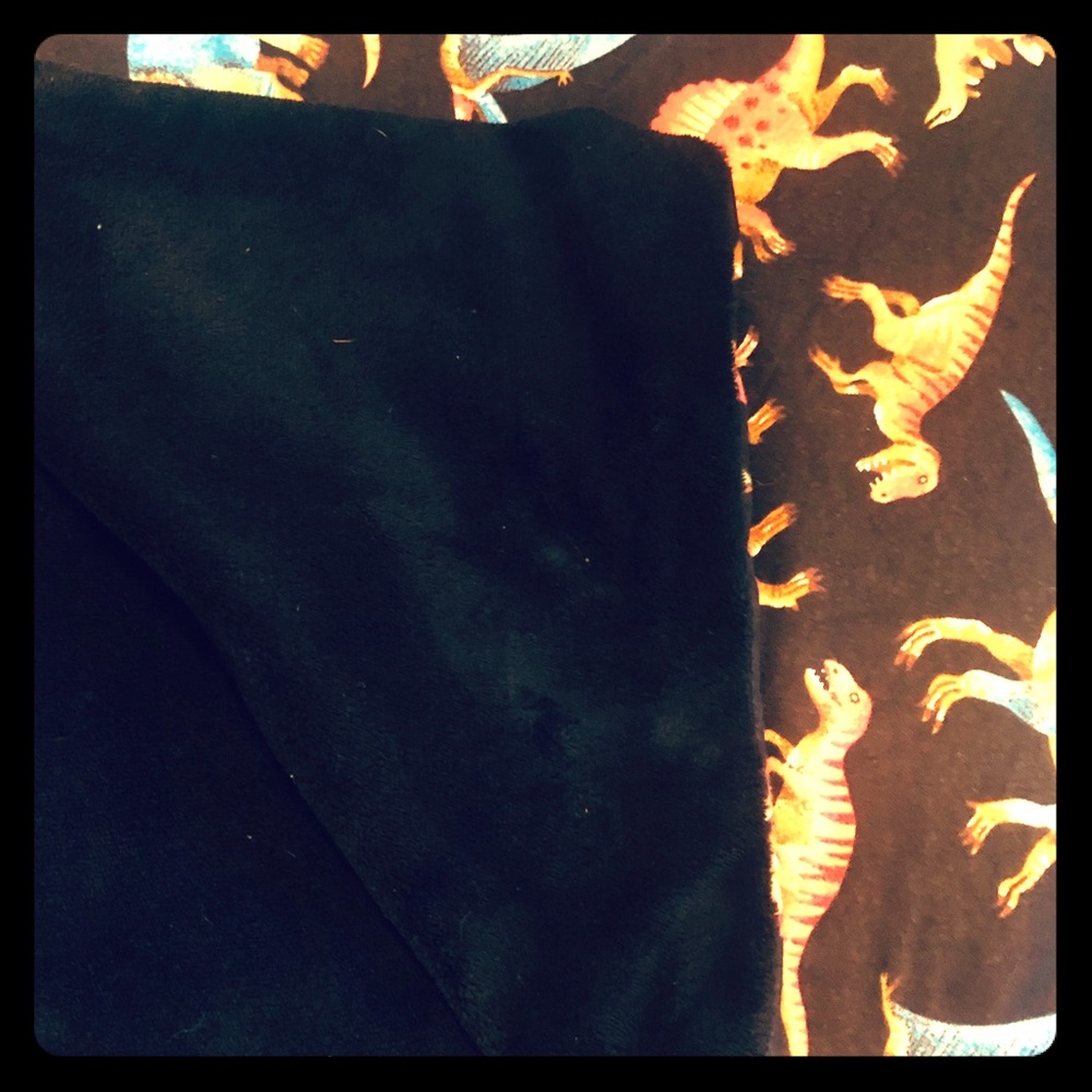 Dinosaur Blanket